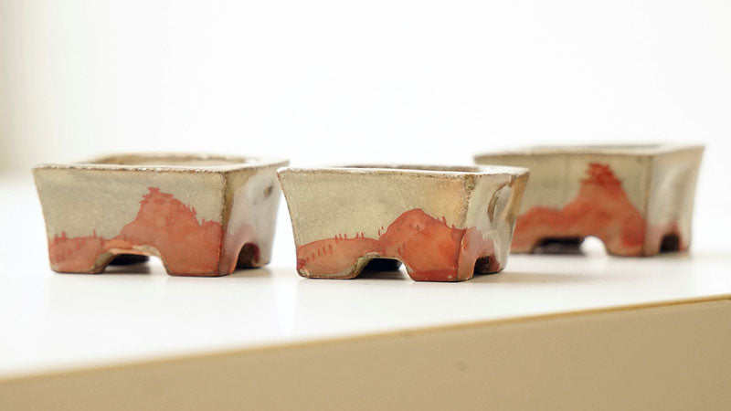 Painting pots – YUKIMONO