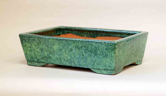 Rectangle Bonsai Pot with several shades of green glaze by Shuuhou 11"(28cm)