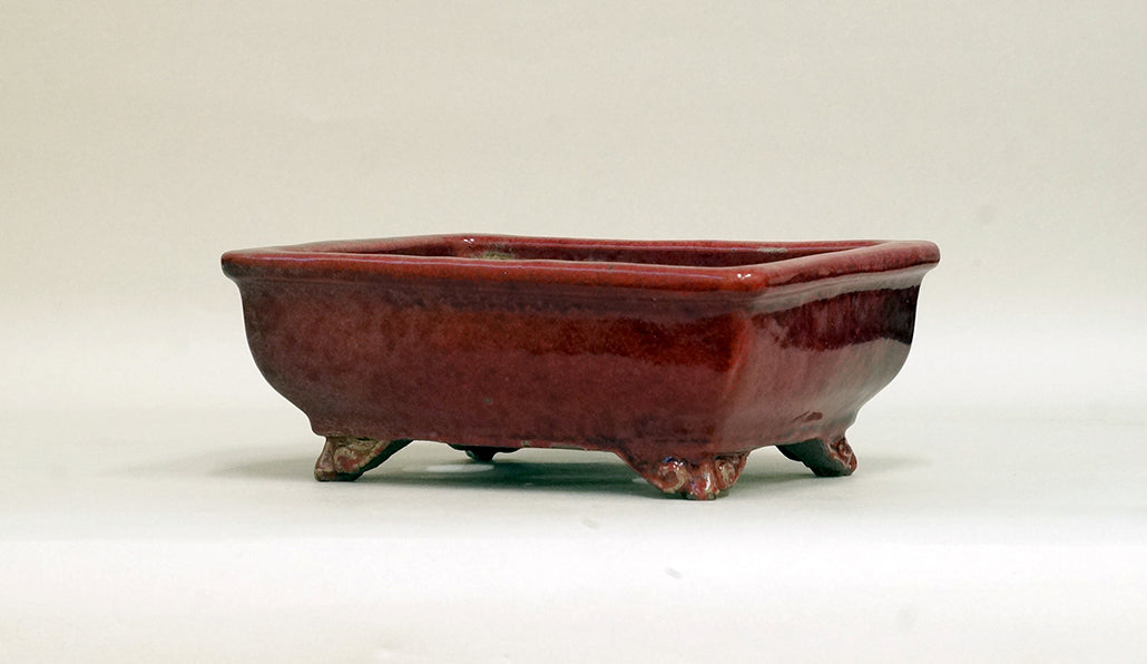 Shinsya Glazed Rectangle Bonsai Pot by Shuuhou 6.8