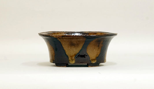 Shuuhou Oval Deep Bonsai Pot with Brown & Yellow Glaze 5.9"(15cm) +++