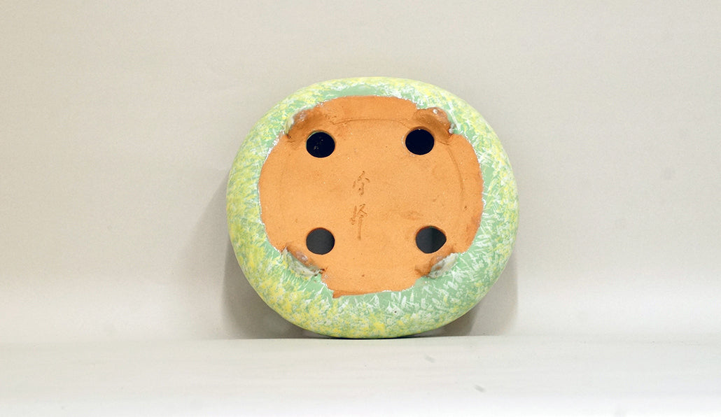 Sack Shaped Bonsai Pot in Yellow & Green by Shuuhou 7"(18cm) +++ Shipping Free