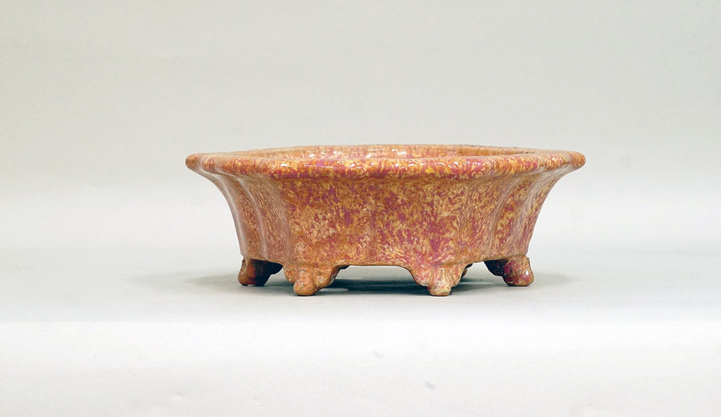 Octagonal Bonsai Pot in Orange & Pink Glaze by Shuuhou 7.2"(18.5cm)+++ Shipping Free