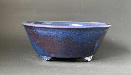 Vivid Blue Bonsai Pot with Red Accents by Shuuhou 12.2"(31.2cm) S580
