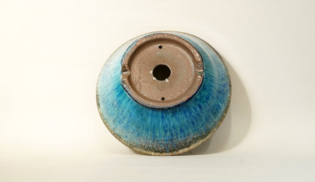 Sky Blue Bonsai Pot with Red Accents by Shuuhou 7.2"(18.5cm) S585 +++ Shipping Free