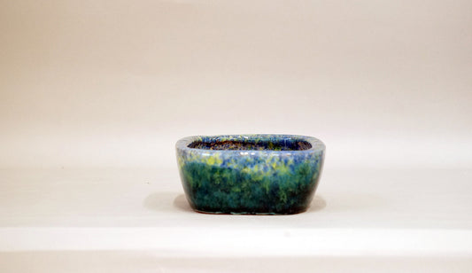 Rectangle Bonsai Pot by Shuuhou 6.1"(15.5cm) S588 +++Shipping Free