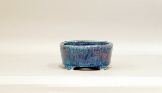Oval Bonsai Pot by Shuuhou 5.7"(14.5cm) S592 +++Shipping Free
