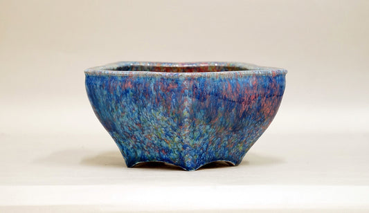 Bellflower Shaped Bonsai Pot by Shuuhou 6.9"(17.5cm) S596 +++ Shipping Free