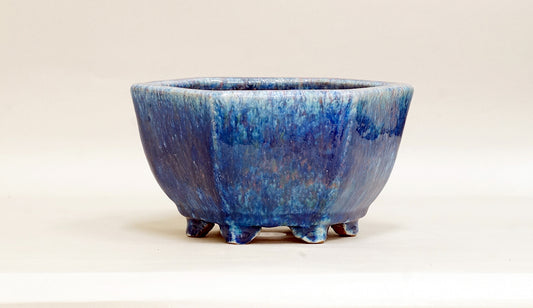 Hexagonal Bonsai Pot by Shuuhou 7.3"(18.5cm) S597 +++ Shipping Free