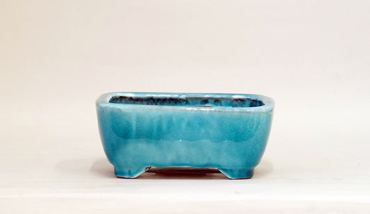 Rectangle Light Blue Glazed Bonsai Pot by Shuuhou 7.1"(18cm) S598 +++ Shipping Free