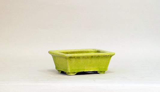 Rectangle Bonsai Pot with Light Yellow by Shuuhou 5.3"(13.4cm) S599 +++ Shipping Free