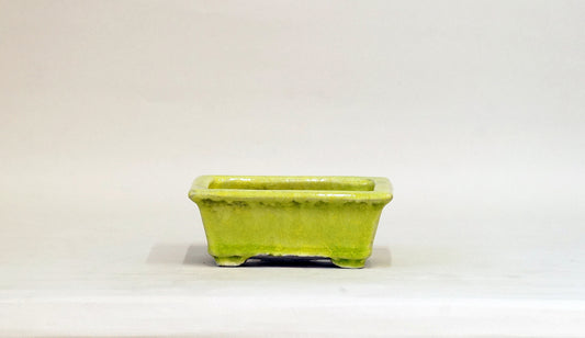 Rectangle Bonsai Pot with Light Yellow by Shuuhou 5.3"(13.4cm) S599 +++ Shipping Free