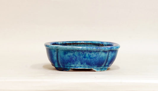 Mokko Shaped Bonsai Pot in Blue by Shuuhou 7.28"(18.5cm) E601