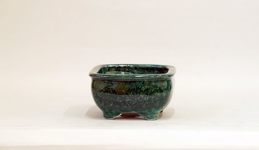 Rectangle Bonsai Pot in Deep Green by Shuuhou 7"(18cm) S602