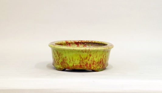 Yellow-Green Glazed Bonsai Pot by Shuuhou 7.4"(19cm) S604