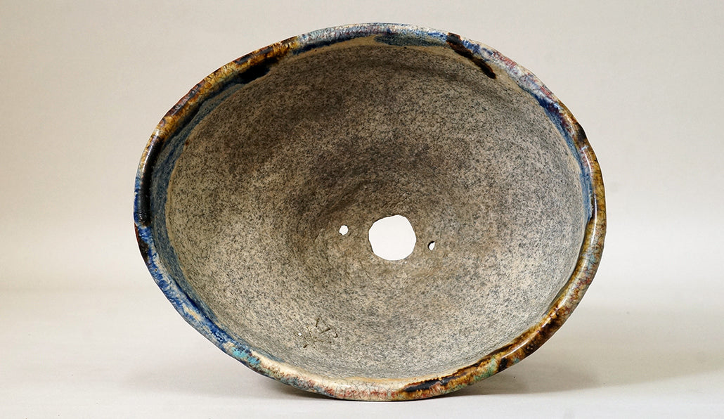 "Horse-riding cup" style Bonsai Pot By Bunzan 7.8"(20cm) B070 +++ Shipping Free