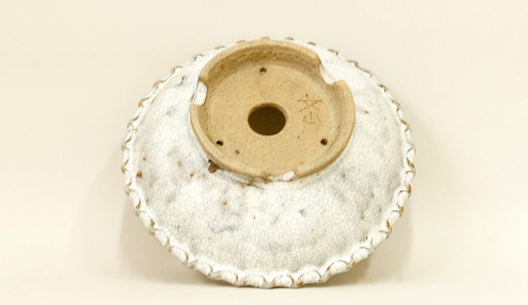 White Glazed Round Bonsai Pot by Bunzan 7"(18cm) B078 +++ Shipping Free