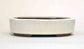 Easy to Use! Oval Bonsai Pot in White Glaze by Eimei 5.8"(14.8cm)+++Shipping Free