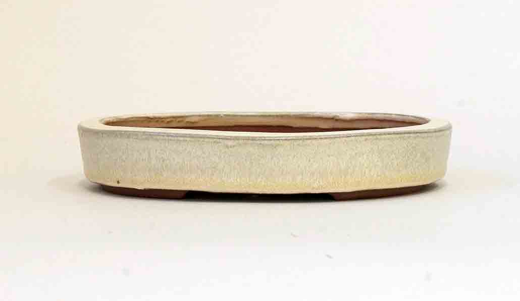Eimei Shallow Oval Bonsai Pot in White Glaze 5.7"(14.5cm)+++Shipping Free