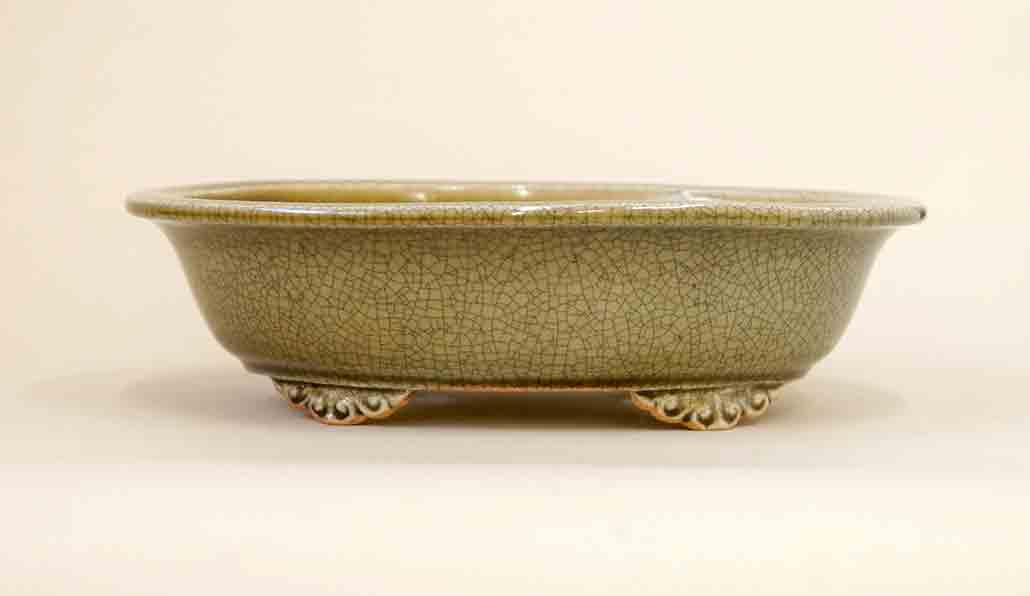 Eimei Oval Bonsai Pot with Rim, 7.5" (18.8cm) Celadon +++Shipping Free