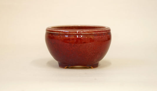 Beautiful Red! Eimei Round Shinsya Glazed Bonsai Pot 3.7"(9.5cm) +++Shipping Free