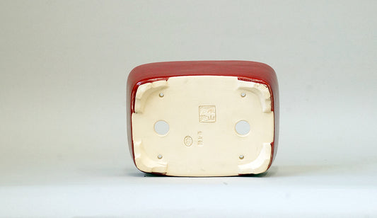 Eimei Rectangle Bonsai Pot in Red 鶏血釉 6.1"(15.5cm) +++ Shipping Free