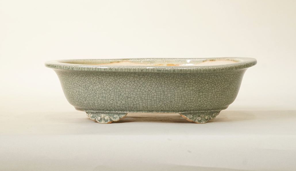 Eimei Celadon Oval Bonsai Pot with Rim, 7.5"(18.8cm) E413 +++Shipping Free