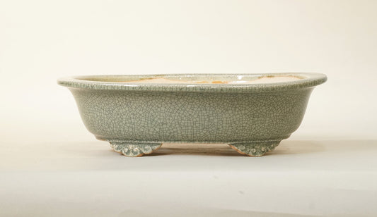 Eimei Celadon Oval Bonsai Pot with Rim, 7.5"(18.8cm) E413 +++Shipping Free