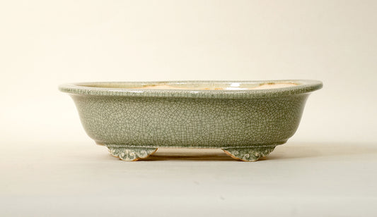 Eimei Celadon Oval Bonsai Pot with Rim, 7.5"(18.8cm) E413 +++Shipping Free