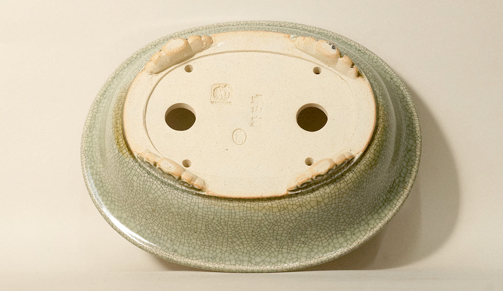 Eimei Celadon Oval Bonsai Pot with Rim, 7.5"(18.8cm) E413 +++Shipping Free
