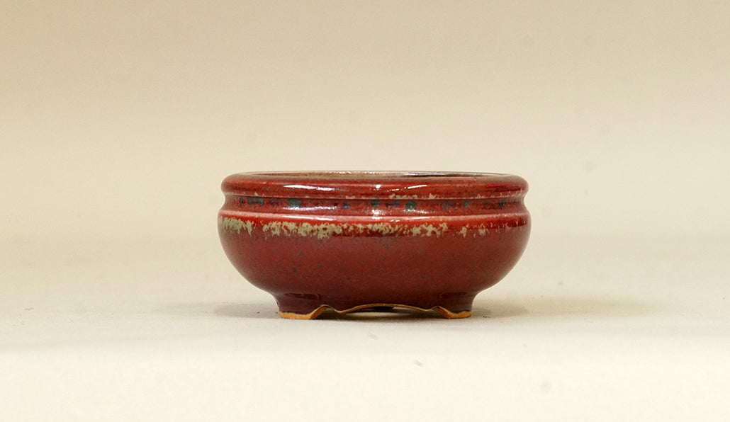 Eimei Shinsya Glazed Bonsai Pot 2.9"(7.5cm) E526 +++Shipping Free