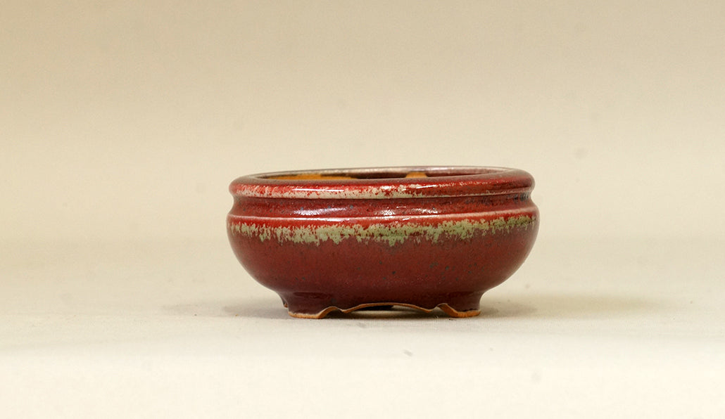 Eimei Shinsya Glazed Bonsai Pot 2.9"(7.5cm) E526 +++Shipping Free