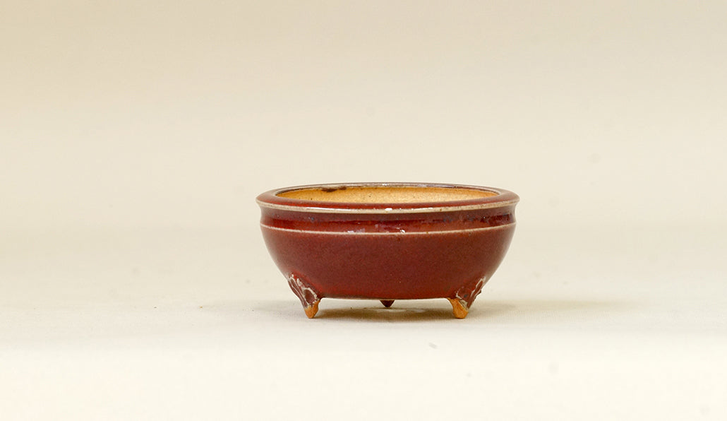 Eimei Shinsya Glazed MIniature Bonsai Pot 2.4"(6.3cm) E527 +++ Shipping Free