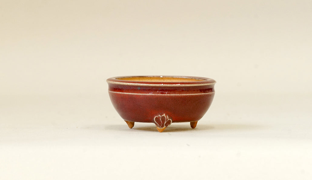 Eimei Shinsya Glazed MIniature Bonsai Pot 2.4"(6.3cm) E527 +++ Shipping Free