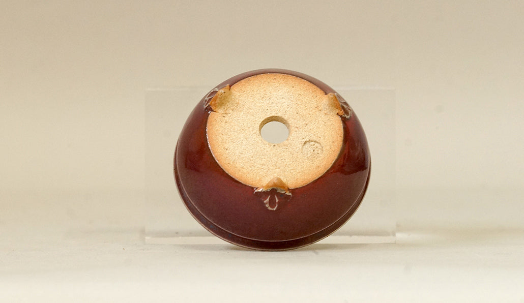 Eimei Shinsya Glazed MIniature Bonsai Pot 2.4"(6.3cm) E527 +++ Shipping Free