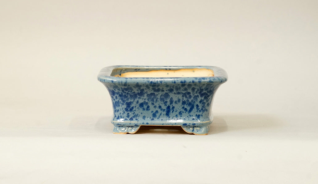 Eimei Rectangle Bonsai Pot in pale blue glaze 6.6"(17cm) E547 +++ Shipping Free