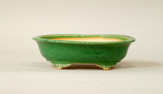 Eimei Oval Bonsai Pot with Rim, Green Glze 7.2(18.4cm) E548 +++ Shipping Free