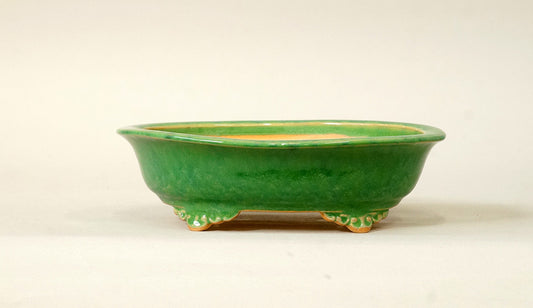 Eimei Oval Bonsai Pot with Rim, Green Glze 7.2(18.4cm) E548 +++ Shipping Free