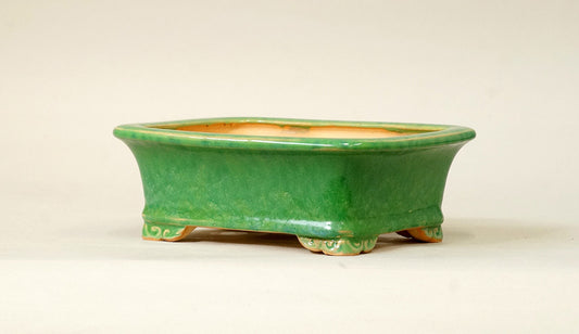 Eimei Rectangle Bonsai Pot in Green glaze 6.6"(17cm) E551 +++ Shipping Free