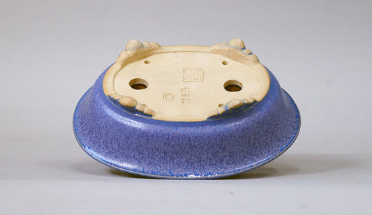Eimei Oval Bonsai Pot with Rim,  in Purple glaze 7.2"(18.5cm)  E558 +++ Shipping Free