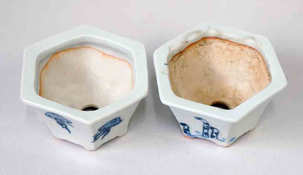 Gassan Mini Bonsai Pots set "Jellyfishes & garden eels" with Box+++Shipping Free