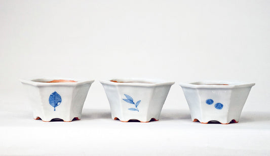 Northern Animal Series – Set of 3 Hand-Painted Bonsai Pots by Gassan 2.76"(7cm) G172