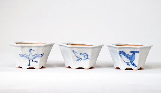 Northern Animal Series – Set of 3 Hand-Painted Bonsai Pots by Gassan 2.76"(7cm) G173