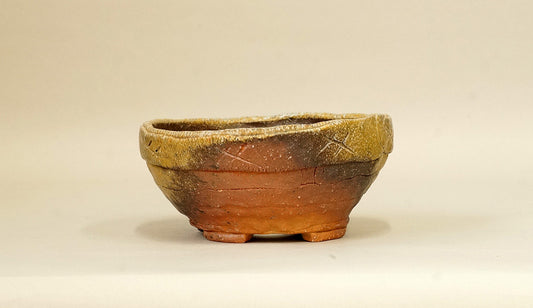 Toji Wood-Fired Bonsai Pot 5.5"(14cm) T033  +++ Shipping Free