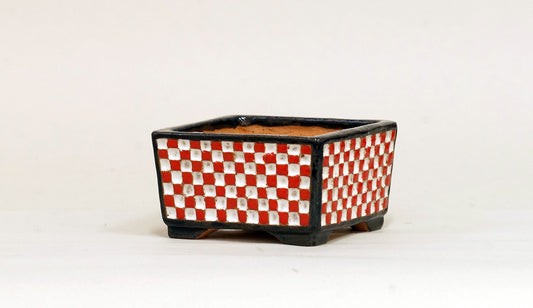 Kei Square Bonsai Pot with White & Red checkered pattern 2.9"(7.6cm) K010 +++Shipping Free