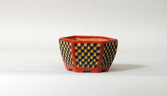 Kei Hexagonal Bonsai Pot with Yellow & Blue checkered pattern 3.5"(9cm) K013 +++Shipping Free
