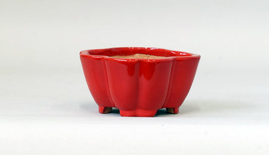 Kei Flower Shaped Bonsai Pot in vermilion 83.3"(.5cm) K017 +++ Shipping Free