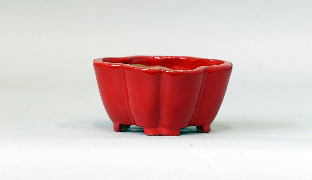 Kei Flower Shaped Bonsai Pot in vermilion 83.3"(.5cm) K017 +++ Shipping Free