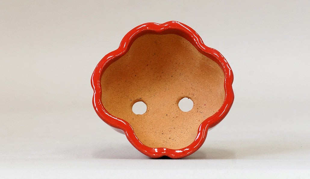Kei Flower Shaped Bonsai Pot in vermilion 83.3"(.5cm) K017 +++ Shipping Free