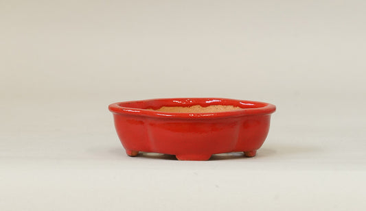 Kei Mokko Shaped Mini Bonsai Pot in vermilion 83.3"(.5cm) K018 +++ Shipping Free