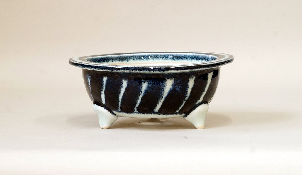 Shallow Round Painting Bonsai Pot by Yuka Y033 +++ Shipping Free